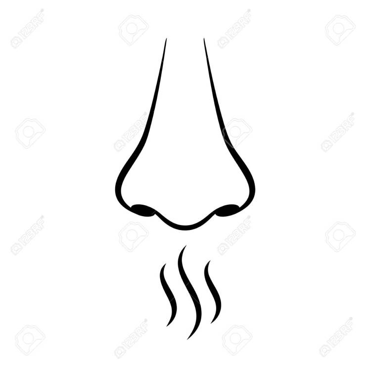 Nose and smell sense vector pictogram